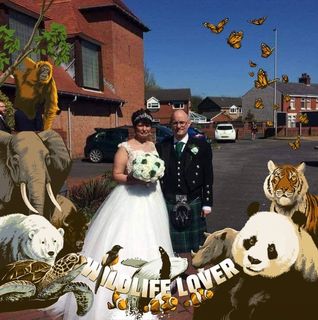 Tracy Mcmillan's avatar