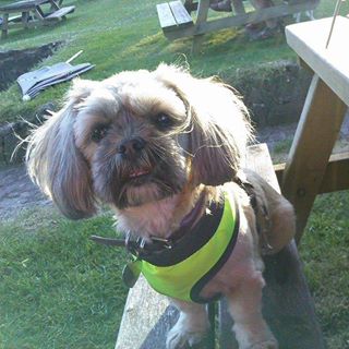 Maria Lawton's avatar