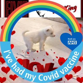 Wesley MD Woodward's avatar