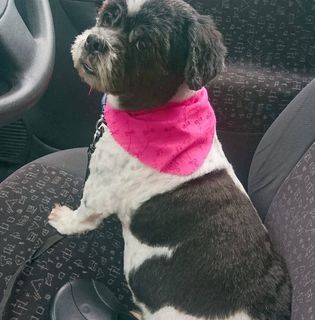 Catherine Burns's avatar