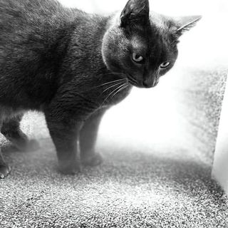 Valerie Kenny's avatar