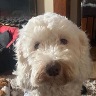 Mandy Robinson's avatar