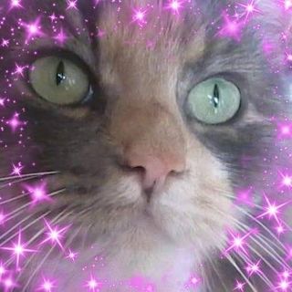 Jane Jacobs's avatar