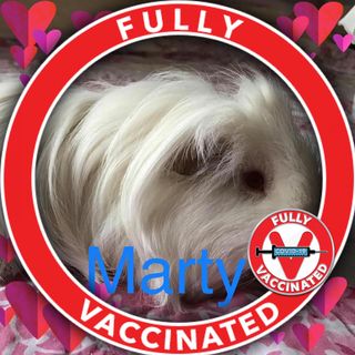 Reta Brookes's avatar