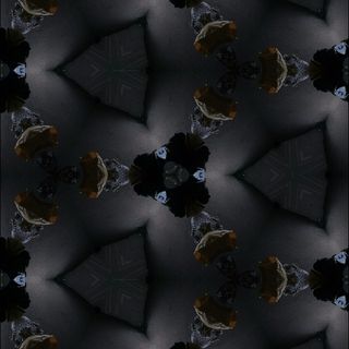 Nicola Burns's avatar