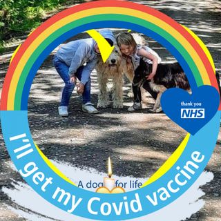 Lisa Jayne Jones's avatar