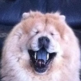 Julie Matthew's avatar