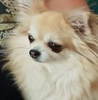 Anne Andreoli's avatar