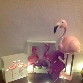 Catrin Johns's avatar