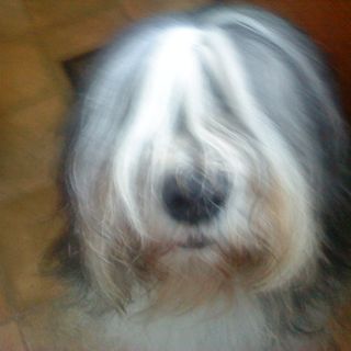 Paul Watson's avatar