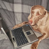 Andy Waller's avatar