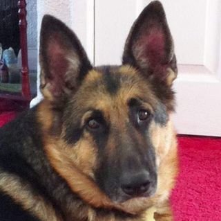 Jimmie Baxter's avatar