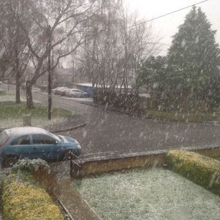 Trevor Gittens's avatar