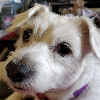 Bernice Liddington's avatar