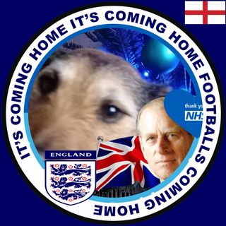 Lynn McDonagh's avatar
