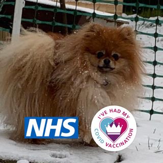 Julii Elliott's avatar