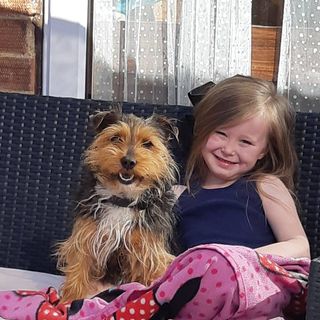 Amanda Clarkson's avatar