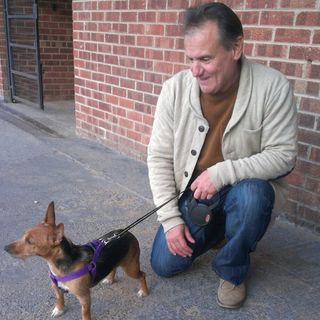 Micheal Searson's avatar