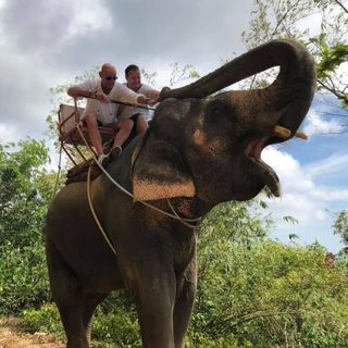 Carol Bradley's avatar