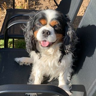 Stuart Evans's avatar