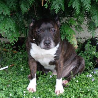 Graham Jarvis's avatar