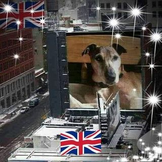 Isabelle Donnelly's avatar