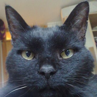 Karen McElroy's avatar