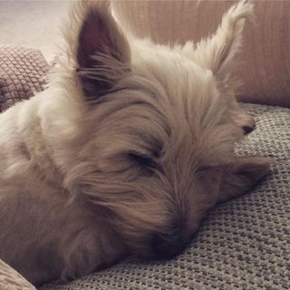 Glenn Horsham's avatar