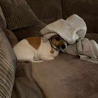 Jayne Pickwell's avatar