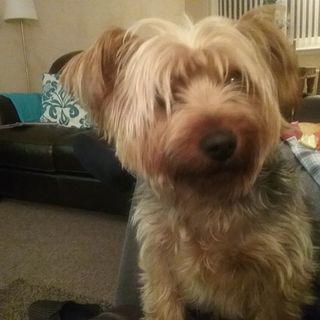 Marion Park's avatar