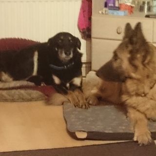 Rab Marshall's avatar