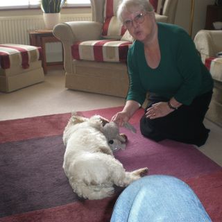 Marilyn Woolven's avatar