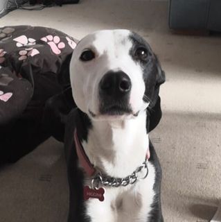 Suzie Higgins's avatar