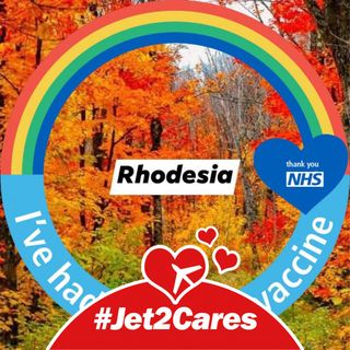 Lynne Ritchie's avatar