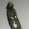 CommanderRaccoon's avatar