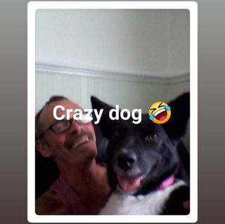 Steve Mo's avatar