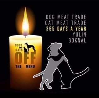 Sarah Eastwood's avatar