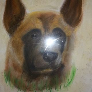 Alan Barlow's avatar