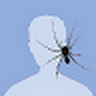Sorin leu's avatar