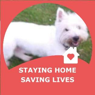 Christine Nicol's avatar