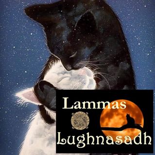 Diane Mc Glinchey's avatar