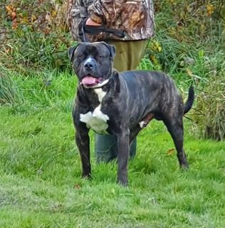 Teresa Guerriero's avatar