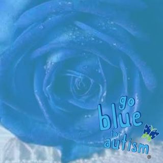 Tracy J Merridan's avatar