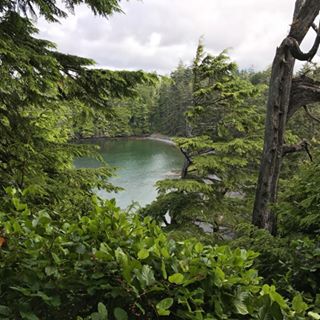 Michael Field's avatar