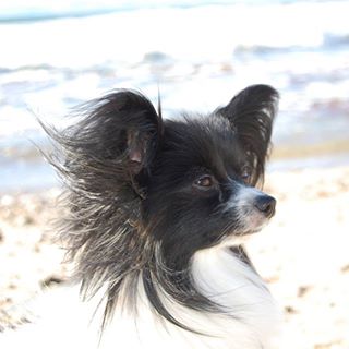 Margaret Young's avatar