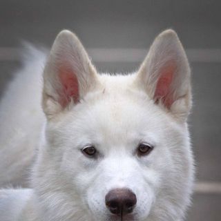 Marion Mccandlish's avatar