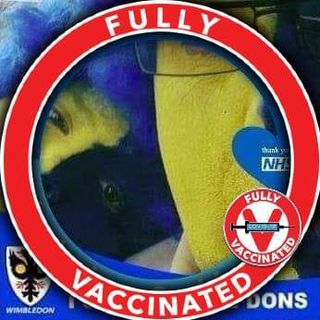 Adrian Womble Sawyer's avatar