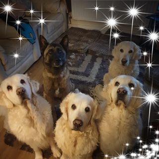 Clare Armstrong's avatar