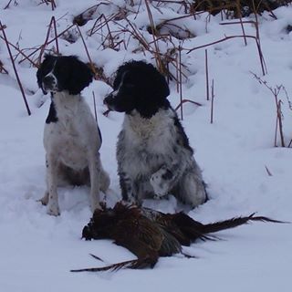 Patricia Mitchell's avatar