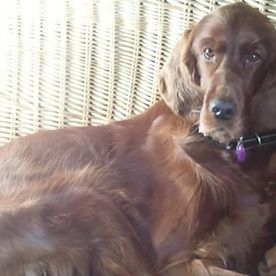 Angie Chrisp's avatar